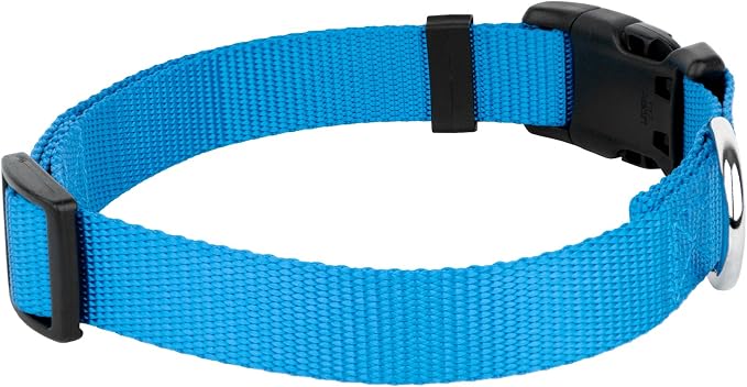 Country Brook Petz - Deluxe Nylon Dog Collar and Leash - 10+ Cool Colors (3/4 Inch, Small, Ice Blue)