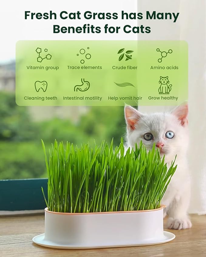 Cat Grass Growing Kit for Indoor Cats – Fast Growing (3-7 Days Harvest), Wheat Seeds, BPA-Free Planter & Soil – Helps Hairball Control, Digestion & Fresh Breath – Green Fresh (3 Pack)