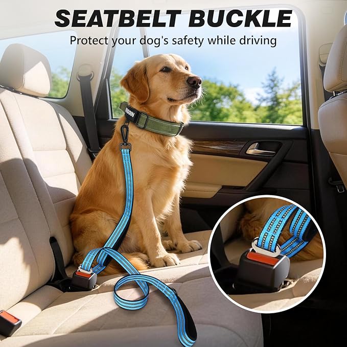 WINGOIN Dog Leash for Large Medium Small Dogs, Heavy Duty Dog Leashes with Double Handle, Poop Bag Holder, Car Seat Belt Buckle, Reflective Tactical Pet Lead for Walking, Training (Blue, 6FT)