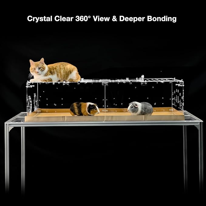 GuineaLoft™ Model-A1 Acrylic Guinea Pig Cage w/Clear Acrylic Lid, Supporting Beams & Connecting Doors - Large 4ft(L) x 2ft(W) x 1ft(H) Expandable C&C Cage, Also for Bunnies, Button Quails, Hedgehogs