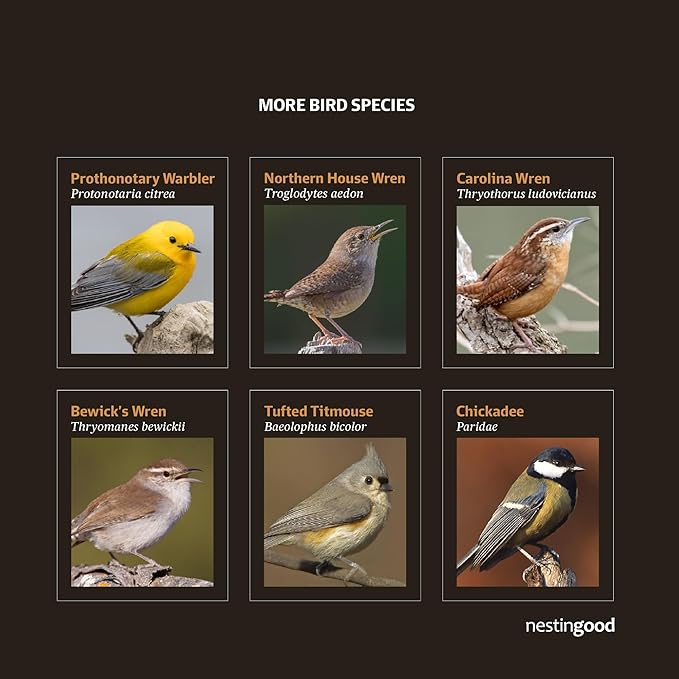 Premium Wooden Bird House Kit – DIY Bluebird Nesting Box with 1.5 Inch Entrance, Outdoor Birdhouse Kits for Adults and Kids, Nature Craft for Garden, Backyard or Patio Projects