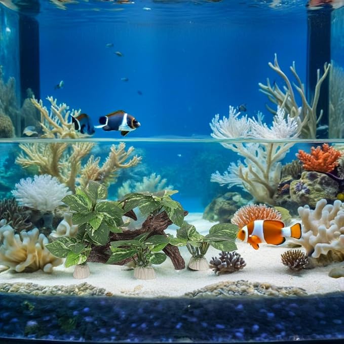 DECHOUS 4Pcs Aquarium Driftwood Decorations - Natural-Looking Driftwood Hideout Cave for Betta Fish and Shrimp Freshwater Fish Tank Decor for Aquascaping Durable Water-Resistant Aquarium Ornaments