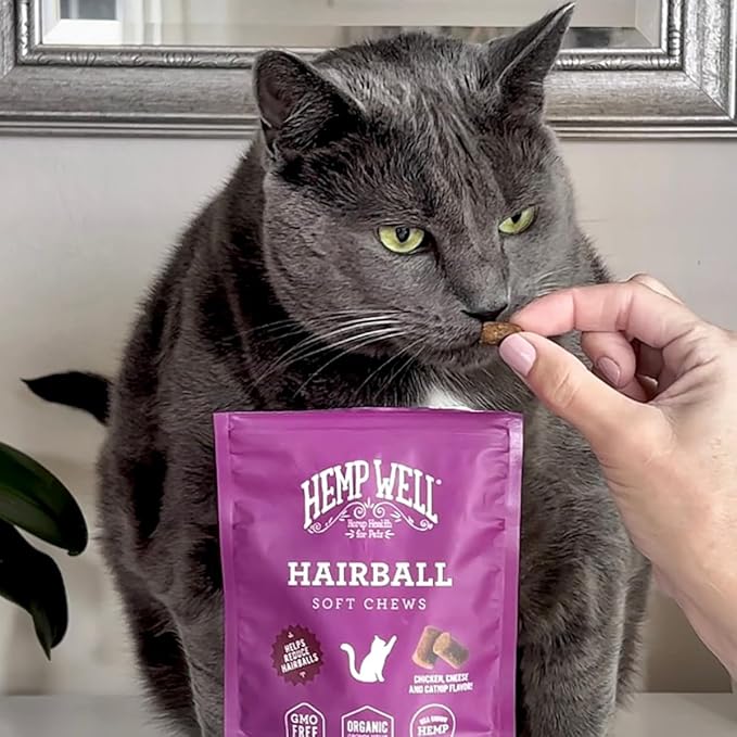Hemp Well Cat Hairball Soft Chews for Cats, Hairball Control & Digestive Support, Organic Hemp Seed Powder, Pumpkin Seed & Psyllium Fiber, Skin & Coat Support, Chicken Cheese & Catnip Flavor, 60 Ct