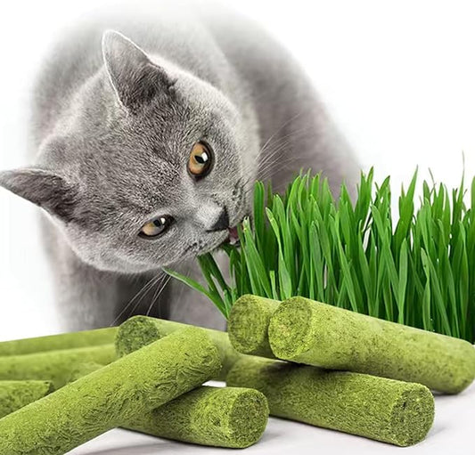30g Cat Grass Sticks, Freeze Dried Cats Grass Teething Stick, Edible Cat Chew Toy for Teeth Cleaning Dental Health and Hairball Removal