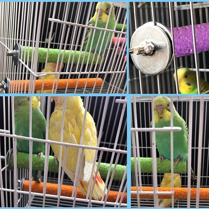 PINVNBY Parrot Bath Box Bird Bathtub Parakeet Bathing Tube with Bird Perches Stand Paw Grinding Cage Accessories Ideal for Small Birds Lovebirds Canary Finches(3 PCS Random Color)