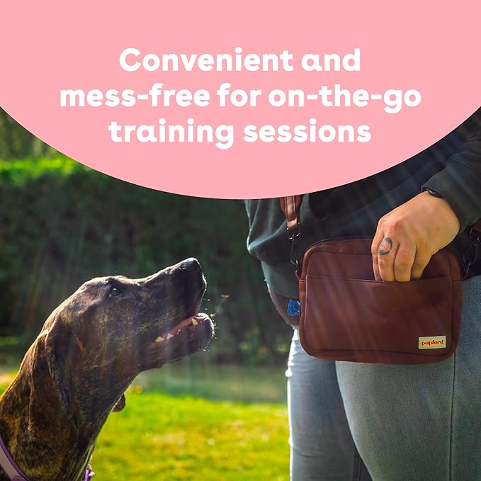 Pupford Freeze Dried Training Treats for Dogs & Puppies, 900+ Two Ingredient Bites (Salmon, 8 oz)