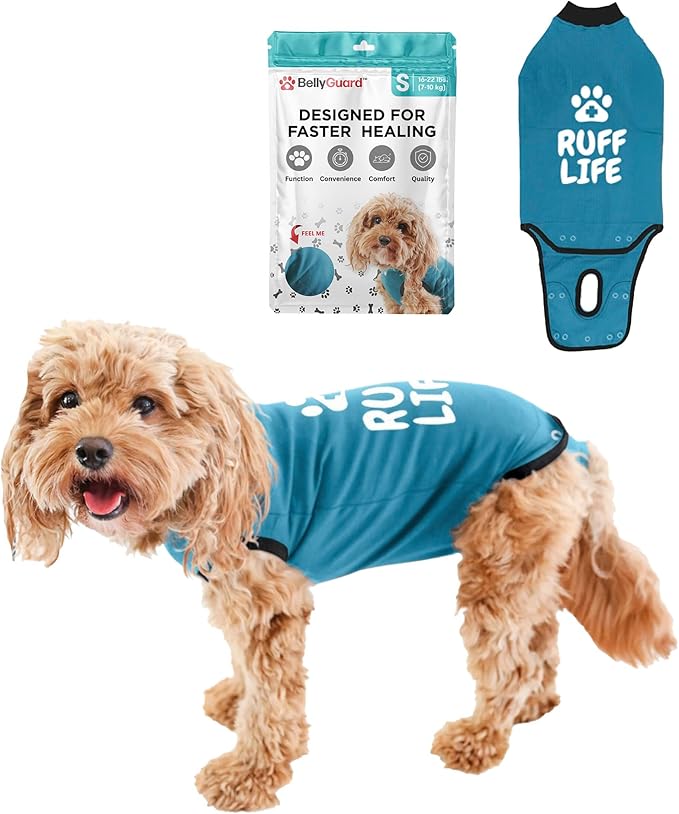BellyGuard Dog Surgery Recovery Suit, Dog Onesie for Post-Op Care, Recovery Apparel for Female and Male, Surgical Body Cover for Canine Healing Support