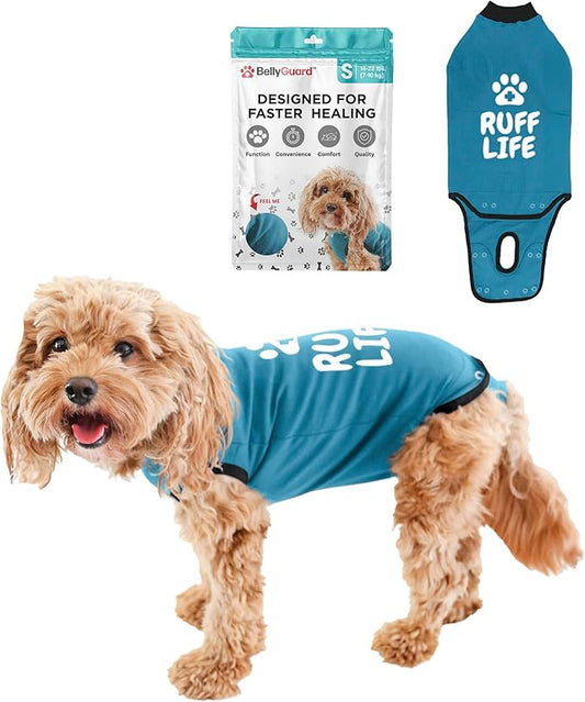 BellyGuard Dog Surgery Recovery Suit, Dog Onesie for Post-Op Care, Recovery Apparel for Female and Male, Surgical Body Cover for Canine Healing Support