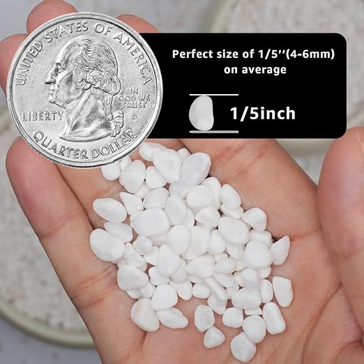 5lbs Natural Gravel Pebbles for Succulents and Cacti, 1/5 Inch Decorative River Stones – Perfect for Vases, Aquariums, Terrariums, and Outdoor Gardening, Mixed Colors (White, 20 Pounds)