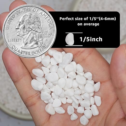 10lbs Natural Gravel Pebbles for Succulents and Cacti, 1/5 Inch Decorative River Stones – Perfect for Vases, Aquariums, Terrariums, and Outdoor Gardening, Mixed Colors (White, 10 Pounds)