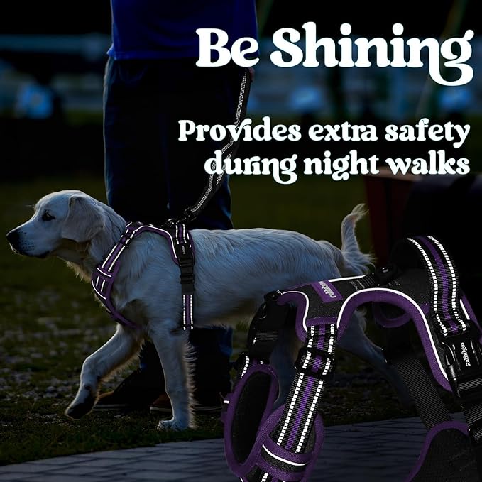rabbitgoo Dog Harness for Large, No Pull Pet Harness with 3 Buckles, Adjustable Soft Padded Vest with Control Handle, Walking Reflective Pet Vest for Extra Large Dogs, Black & Purple, XL