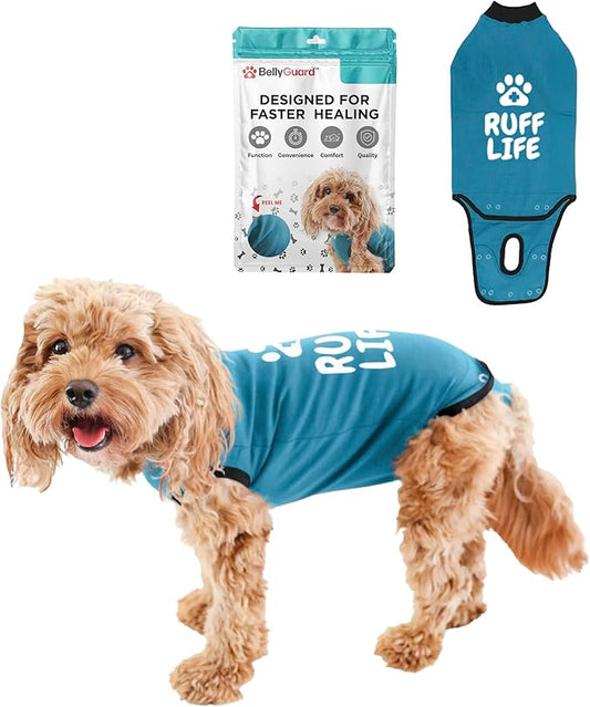 BellyGuard Dog Surgery Recovery Suit, Dog Onesie for Post-Op Care, Recovery Apparel for Female and Male, Surgical Body Cover for Canine Healing Support