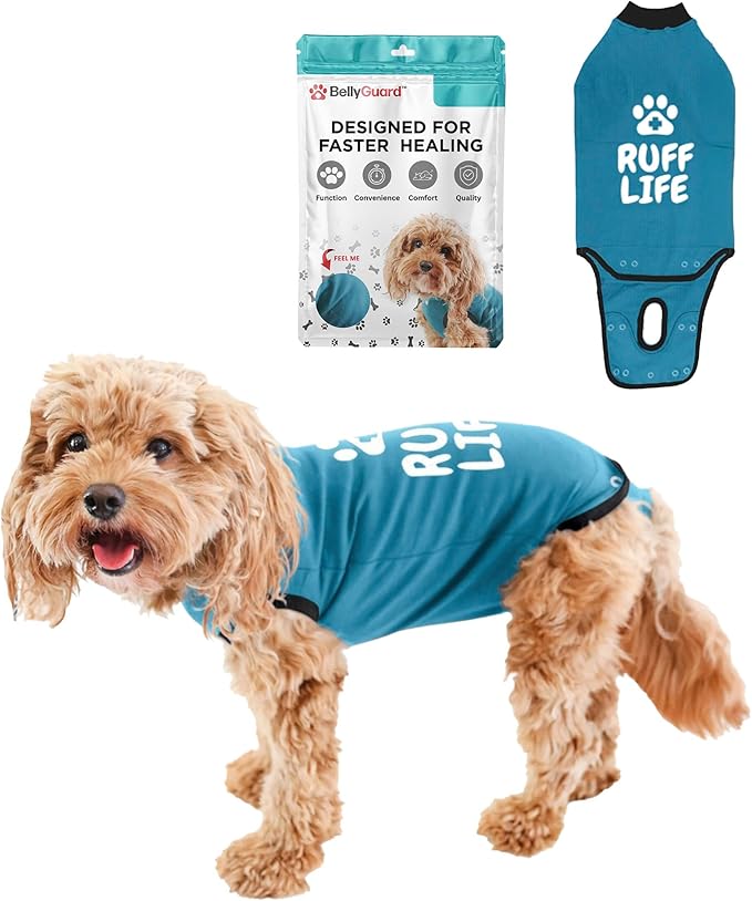 BellyGuard Dog Surgery Recovery Suit, Dog Onesie for Post-Op Care, Recovery Apparel for Female and Male, Surgical Body Cover for Canine Healing Support