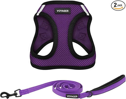 Best Pet Supplies Voyager Step-in Air All Weather Mesh Harness and Reflective Dog 5ft Leash Combo with Neoprene Handle, for Small, Medium and Large Breed Puppies - Purple/Black Trim, Large