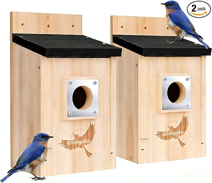 Gtongoko 2 Pack Bird Houses for Outside, Bluebird Nesting Box with Metal Predator Guard, Wooden Birdhouse Kit for Chickadees, Swallows & Finches, Assembly Required