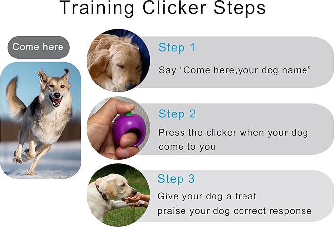 Pet Clicker for Dogs/Cats/Horses/Birds or Other Animals - Clickers for Training (Black)