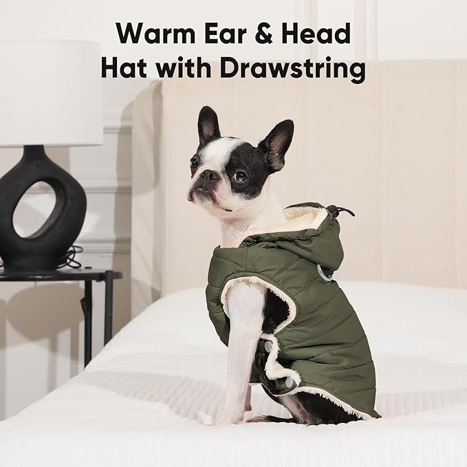 Vecomfy Fleece Lining Dog Hoodie with Harness Built in,Extra Warm Small Dog Jacket in Winter Puppy Coats with Drawstring Hooded,Green XS