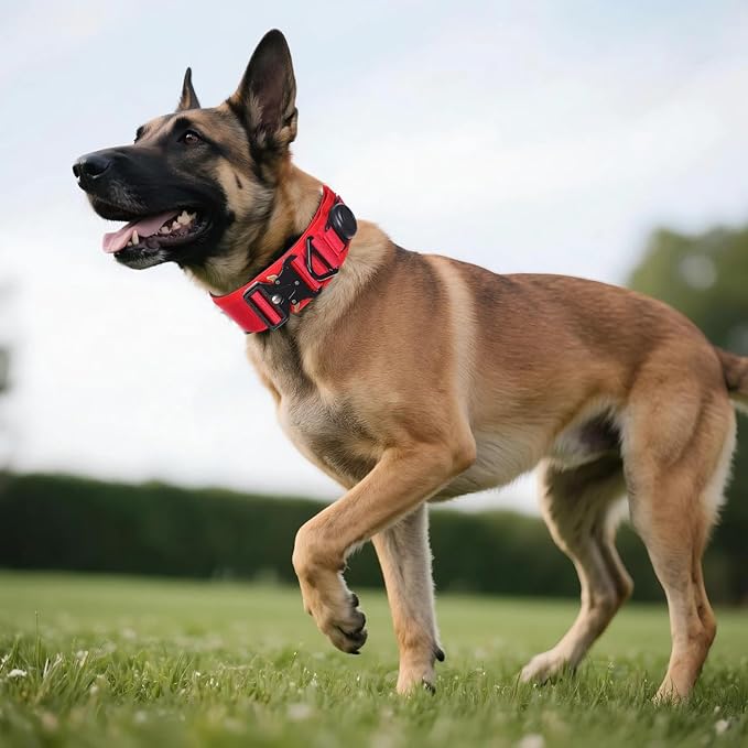 AirTag Dog Collar, 2" Wide Tactical Military Dog Collar with AirTag Holder & 3 Pet Patches, Soft Padded Reflective Waterproof Nylon Collar with Metal Buckle for Large Dogs (Red, L)