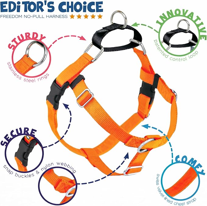 2 Hounds Design Freedom No Pull Dog Harness, Adjustable Harness, Easy Walking & Comfortable Control, Fits Small, Medium & Large Dogs, Solid Colors, Made in USA, 5/8" MD, Neon Organge