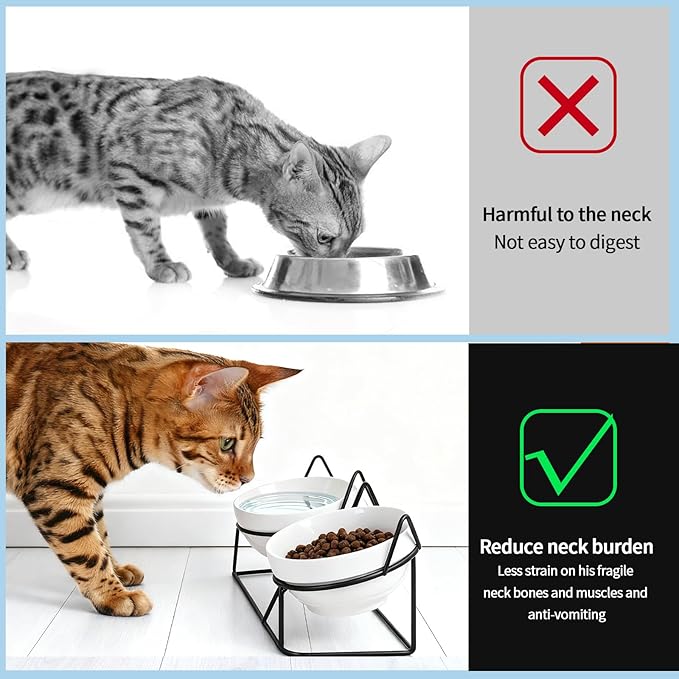 Elevated Cat Food Bowl,Ceramic Raised Water Bowl for Indoor Cats, 15°Tilted Metal Stand Anti Vomiting and Protect Spines,Whisker Fatigue Feeding Dishes,Non-slip and Dishwasher Safe
