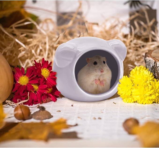 Ceramic Hamster House, Cute Animal Shaped Hamster Cave, Summer Cool Small Animal Hideout Habitat Decor for Dwarf Hamsters (Purple)