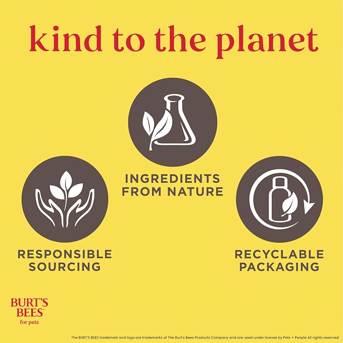 BURT'S BEES FOR PETS Itch Soothing Dog Shampoo for Itchy Skin, pH Balanced Honeysuckle with Skin-Conditioning Honey, 95%+ Natural Origin Formula, No Sulfates, Fragrances, or Colorants, 16 Fl Oz