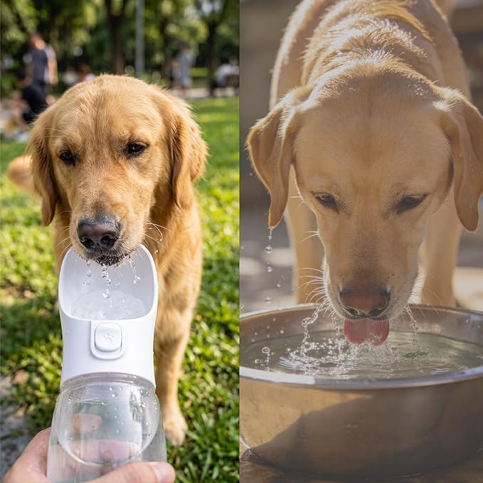 Portable Dog Water Bottle, Foldable Pet Water Dispenser with Drinking Trough, Leak-Resistant Travel Bottle, White, Ideal for Walking, Hiking & Outdoor Travel, 350ml White