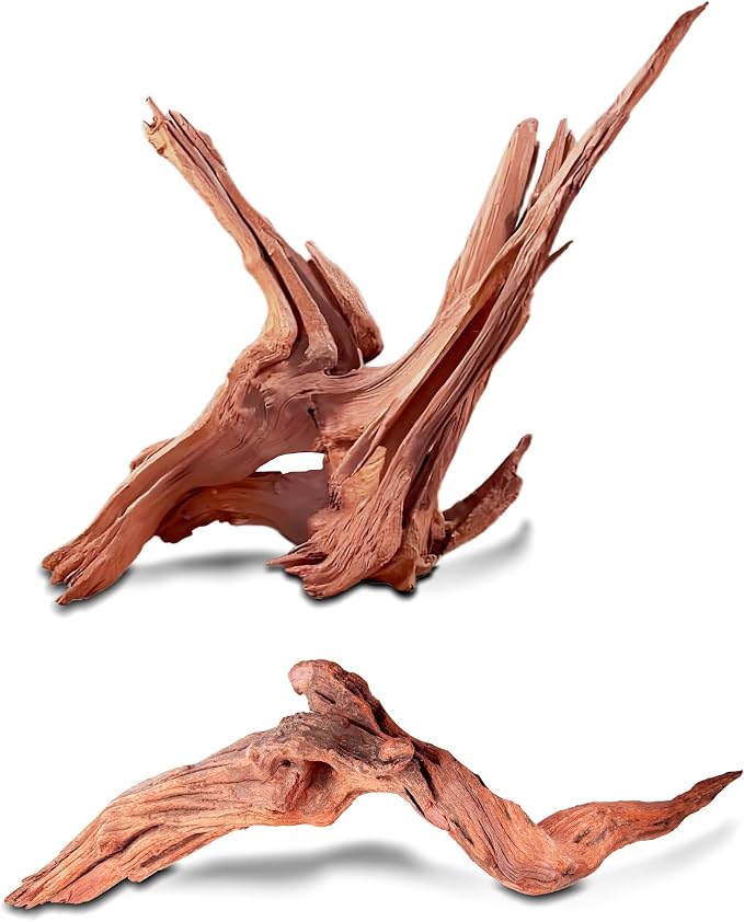 Natural Wood Driftwood for Aquarium Fish Tank Decor,Assorted Driftwood Trunk Branch for Reptile Tank Decor (MOP-ZYM Driftwood+Branch (8 to12 Inch)-Pack of 2)
