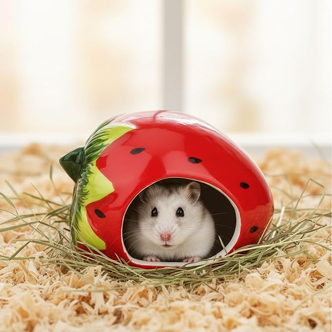 Hypeety Dwarf Hamster Hideout Adorable Cartoon Shape Hamster House Chinchilla Mini Hut Small Animal Ceramic Hideout Cave (Strawberry)