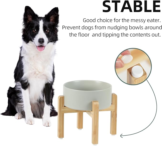 Havniva Ceramic Raised Dog Bowl Set, Elevated with Stand, Food and Water Bowl for Medium Breed Dogs, Weighted Dog Dishes, Pet Bowl(7.3'',41OZ, Grey)