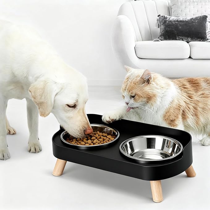 Elevated Cat Bowls, 2 Stainless Steel Raised Cat Food and Water Bowl Set, Splash Proof & Non-Slip, Whisker Fatigue Friendly, Dishwasher Safe for Cats and Small Dogs - Black