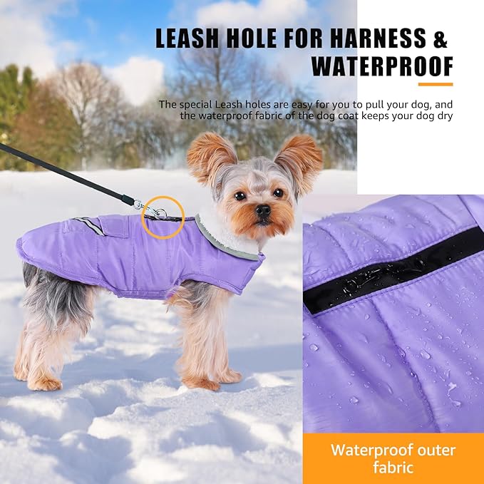 iBuddy Dog Winter Coat for Extra Small Dogs, Easy on XS Dog Snow Jacket Velcro Waterproof Pet Puffer Clothes with Harness Hole Adjustable Reflective Quilted Dog Cold Weather Vest for Girl 8-12 Pounds