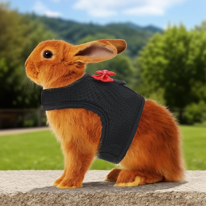 Bunny Harness and Leash Set, Soft Breathable Mesh Rabbit Leash Vest with Safety Buckles, Lightweight Escape-Proof Walking Gear for Rabbits, Kittens, Ferrets, Guinea Pigs, Black M