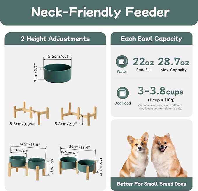Havniva Ceramic Raised Double Bowls Set with Stand, 2 Heights Elevated, Food & Water Bowls for Small Breed Dogs, Weighted Dog Dishes, Pet Bowl(6.1'',28.7oz, Green)