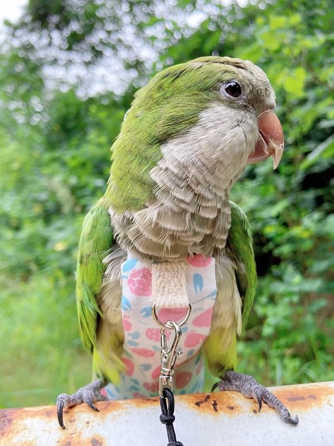Bird Diaper Harness Flight Suit Clothes, Parrot Flight Suit with Leash, Bird Flying Clothes with Rope and Handle for Outdoor Activities Training (Pink Without Leash,Small)
