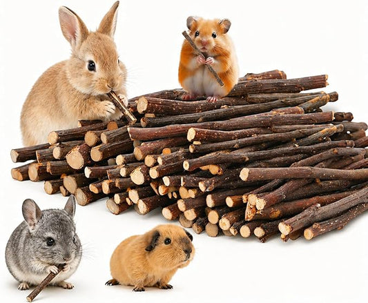 500g Apple Sticks Small Animals Molar Wood Treats Chew Toys for Rabbits Chinchillas Guinea Pig Hamster Gerbil Parrot Bunny Chews Stick Toys