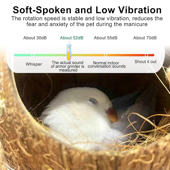Bird Nail Grinder,Bird Nail Trimmer,Bird Beak Trimmer with LED Lights,Electric Bird Beak Grinding Stone,with 6 Grinders Adjustable Speed,for Budgies,Parakeets,Conure,Cockatiels,Lovebirds,Finches.
