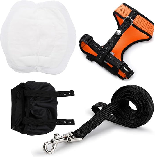 Adjustable Chicken Harness Diaper (5.4ft Leash) – Breathable & Washable Secure Training for Hens, Ducks & Chicks | Outdoor Walking & Discipline Solution