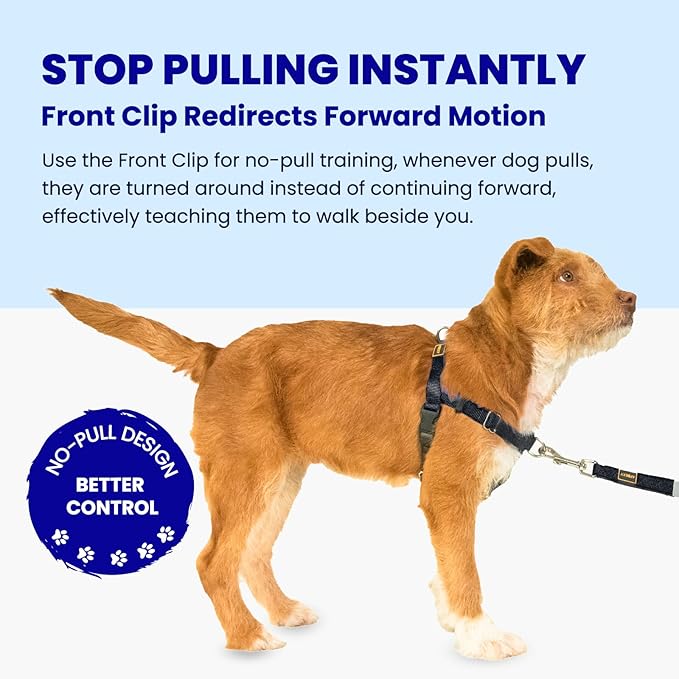 Freedom No Pull Dog Harness for Medium Dogs, Easy Walker, Anti Pulling with Two Stainless D-Rings, Comfortable, Sewn-in Instructions Tags for Easy Use (Black, M)