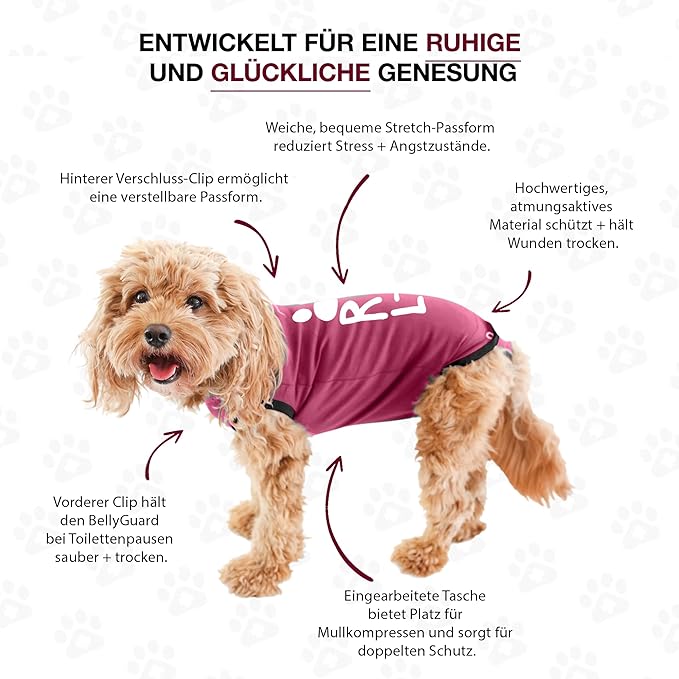 BellyGuard Dog Surgery Recovery Suit, Dog Onesie for Post-Op Care, Recovery Apparel for Female and Male, Surgical Body Cover for Canine Healing Support