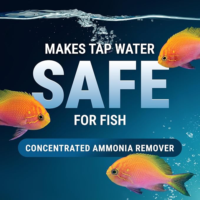 Fritz Aquatics ACCR Water Conditioner Instantly Removes Toxic Ammonia/Chlorine & Chloramines for Fresh & Salt Water Aquariums (1-Gallon)