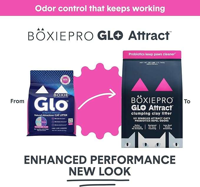 Boxie Glo Clumping Clay 30 Day Odor Control Cat Litter, 99.9% Dust-Free, Low Tracking, UV Light Attractant, 28 lb