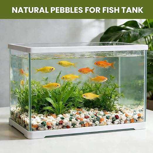 1/8 Inch Natural Aquarium Gravel, Small Pebbles for Fish Tank, Indoor Plants & Succulents, Mixed Color Mini River Rocks for Drainage, Terrarium, Top Dressing & Vase Filler, 6 lb