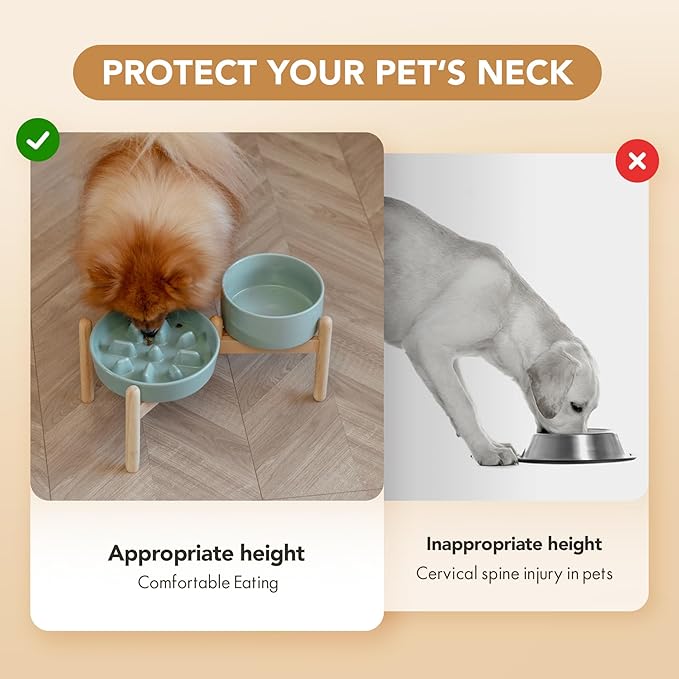 Havniva Ceramic 1.2 Cup Raised Slow Feeder Dog Bowl Set, Elevated 6.1inch Bowl and 7.3inch Slow Pet Food Dish with Wooden Stand for Small and Medium Dog (2 x Light Green+ Stand)