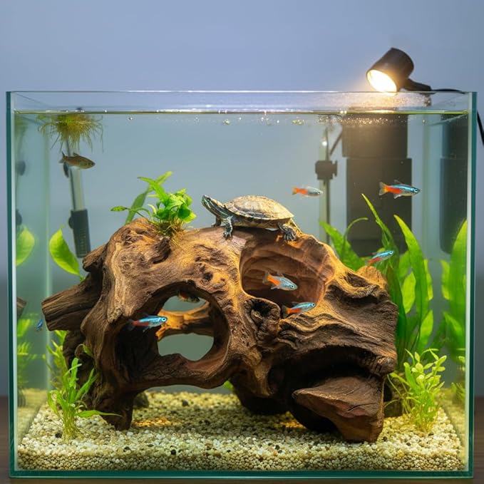 emours Porous Natural Driftwood for Aquarium, Aquascaping Driftwood with Holes, Hand-Selected Tunnels & Hideouts, Aquascaping Hardscape, Terrarium Reptile Décor, No Paint or Resin (6-8" (15-20 cm))