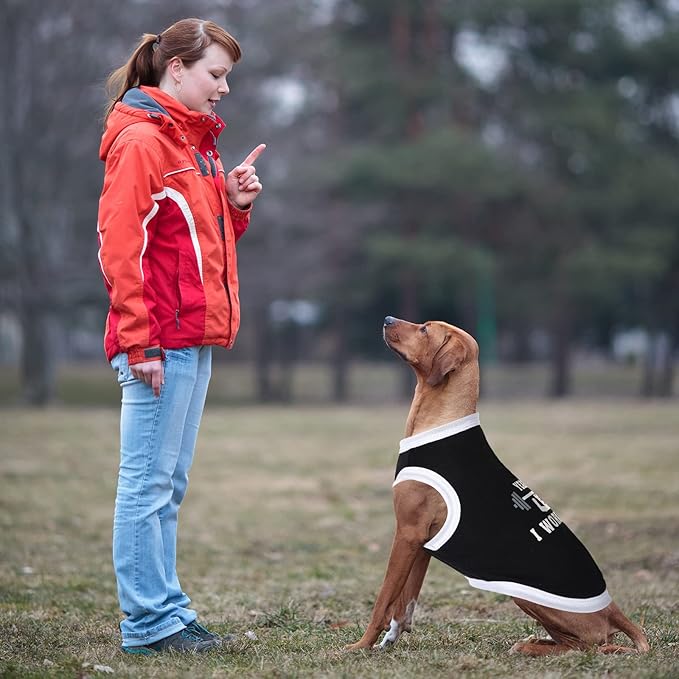 12 Pieces Dog Shirts Pet Printed Clothes with Funny Letters Summer Pet T Shirts Cool Puppy Vest Breathable Dog Outfit Soft Cat Sweatshirt for Chihuahuas Cats Accessories, 12 Styles(Large)