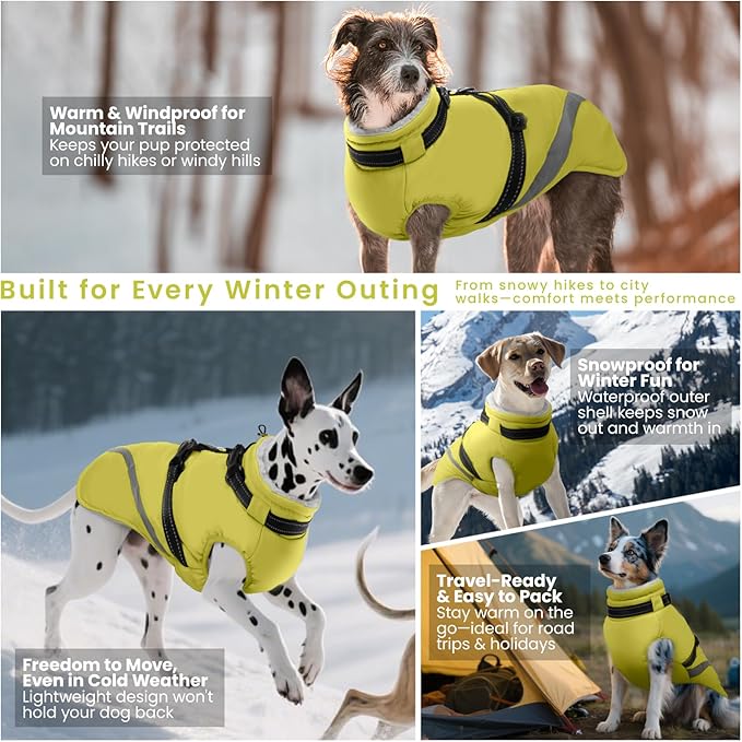 QBLEEV Warm Dog Coat for Medium Dogs, Waterproof Dog Winter Jacket with Built-in Harness & Reflective, Snowproof Warm Coat with Zip Closure, Windproof Neck Drawcord Snow Jackets, Green, L