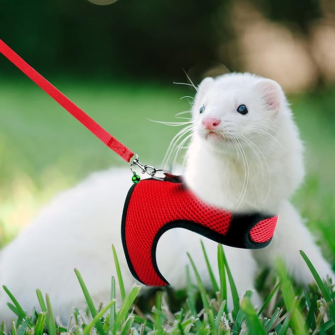 Rypet Small Animal Harness and Leash - Soft Mesh Pet Harness with Safe Bell, No Pull Comfort Padded Vest for Small Pet Red