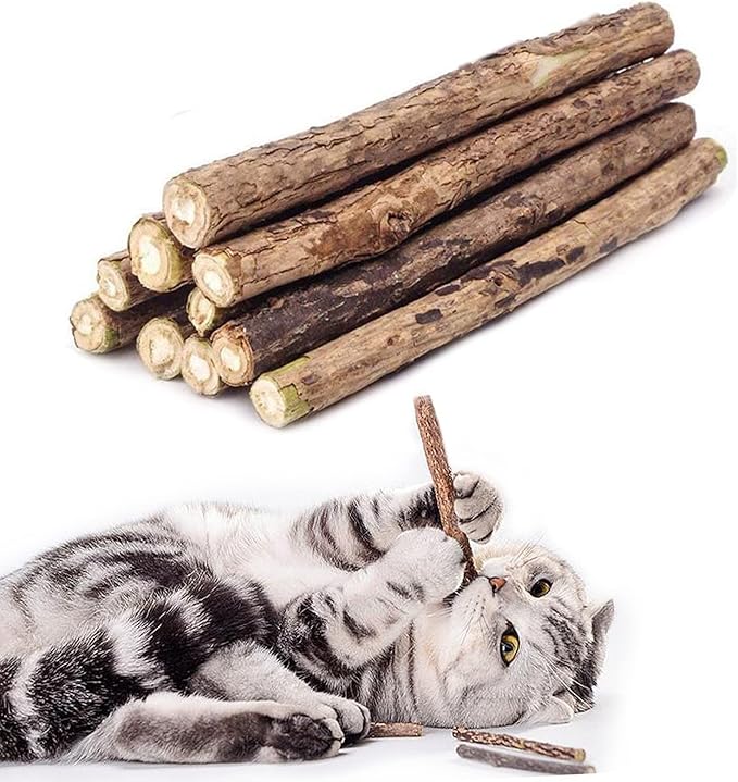 WoLover 10 PCS Cat Catnip Sticks, Natural Matatabi Silvervine Sticks - Cleaning Teeth Molar Tools Kitten Chew Toy Natural Catnip Cats Toy