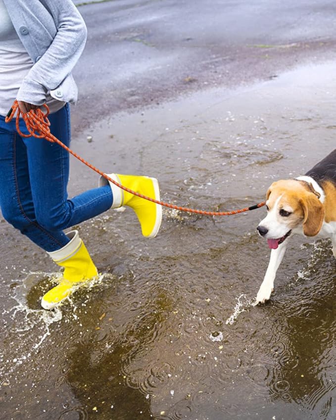 Long Dog Leash for Training 10FT/16FT/20FT/30FT/50FT/100FT, Reflective Tie Out, Heavy Duty Dog Lead for Large, Medium & Small Dogs - Outside Walking, Playing, Camping, Yard